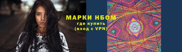 PSILOCYBIN Тында