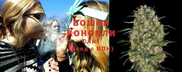 PSILOCYBIN Тында